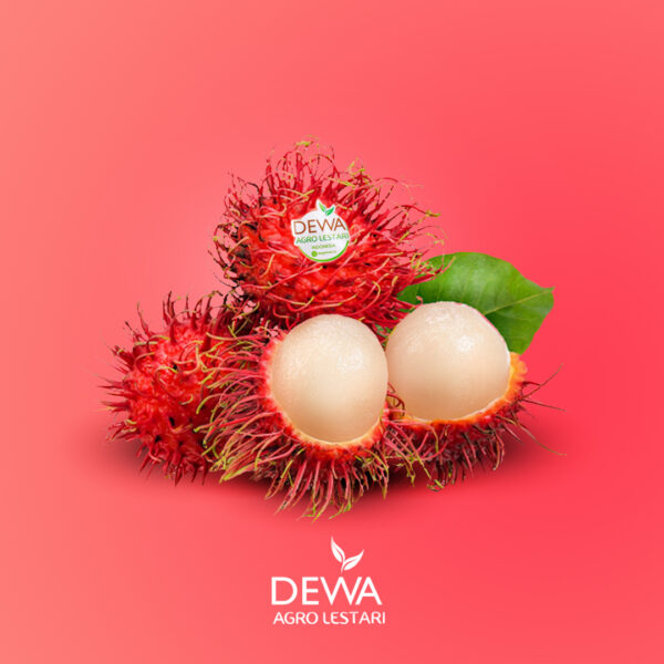 Indonesian Fresh Fruit Export Company - Rambutan