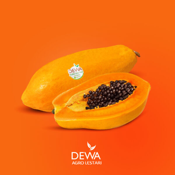 Indonesian Fresh Fruit Export Company - Papaya