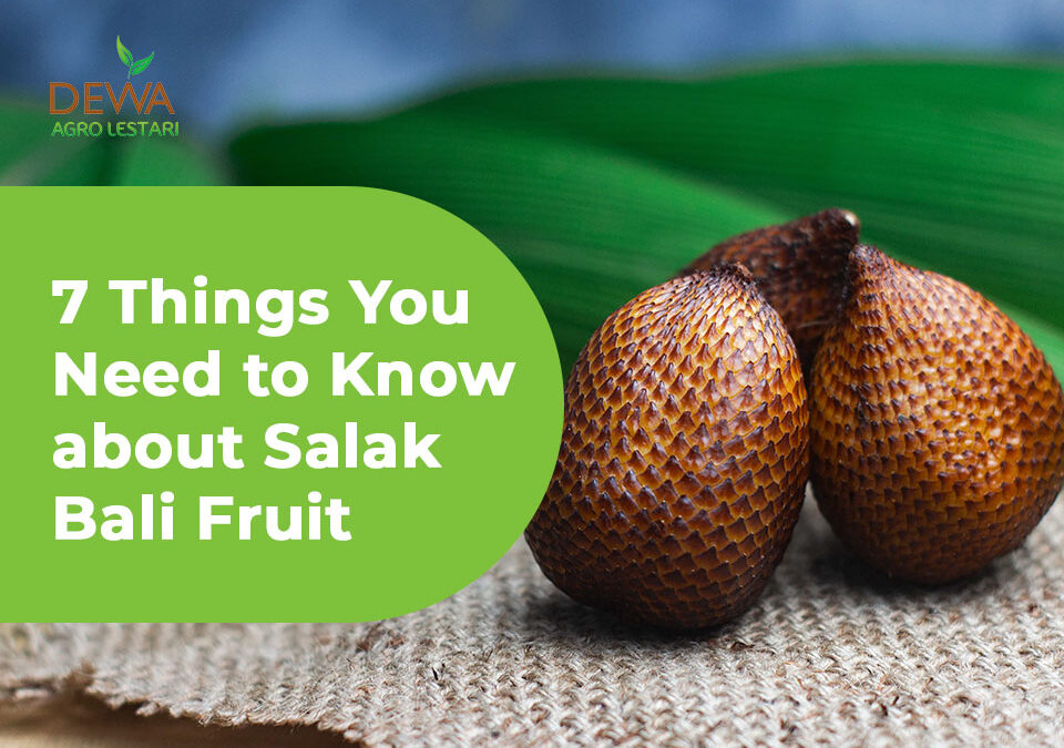 salak bali fruit and its unique points