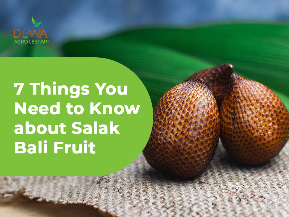 salak bali fruit and its unique points