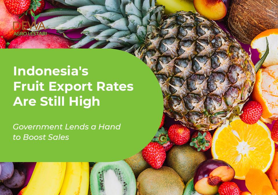 Indonesias Fruit Export Rates Are Still High