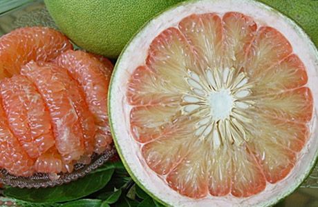 Fresh Exotic Fruits You Must Give a Try