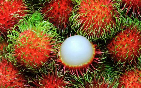 Fresh Exotic Fruits You Must Give a Try