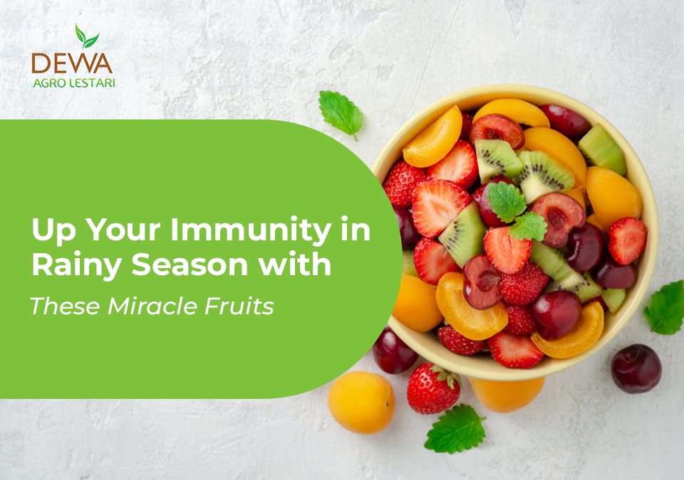 up-your-immunity-with-these-miracle-fruits