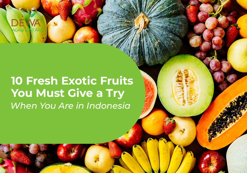 Fresh Exotic Fruits You Must Give a Try