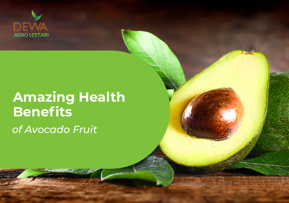 Amazing Health Benefits of Avocado Fruit