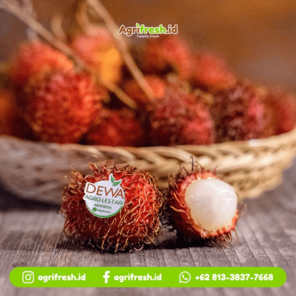 Agrifreshid-Rambutan-Exotic-Fruit-Exporter-in-Indonesia