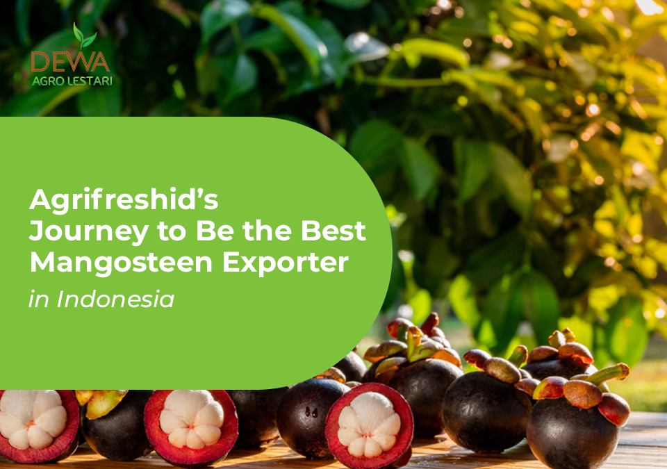 Agrifreshid the Best Mangosteen Exporter in Indonesia