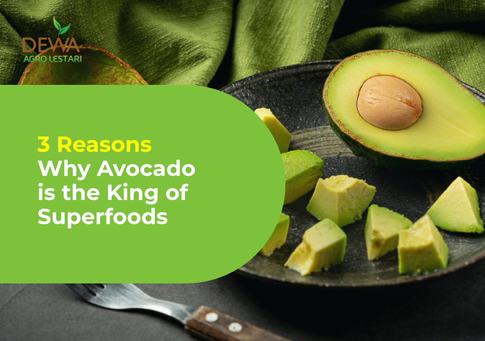 3 Reasons Why Avocado is the King of Superfoods