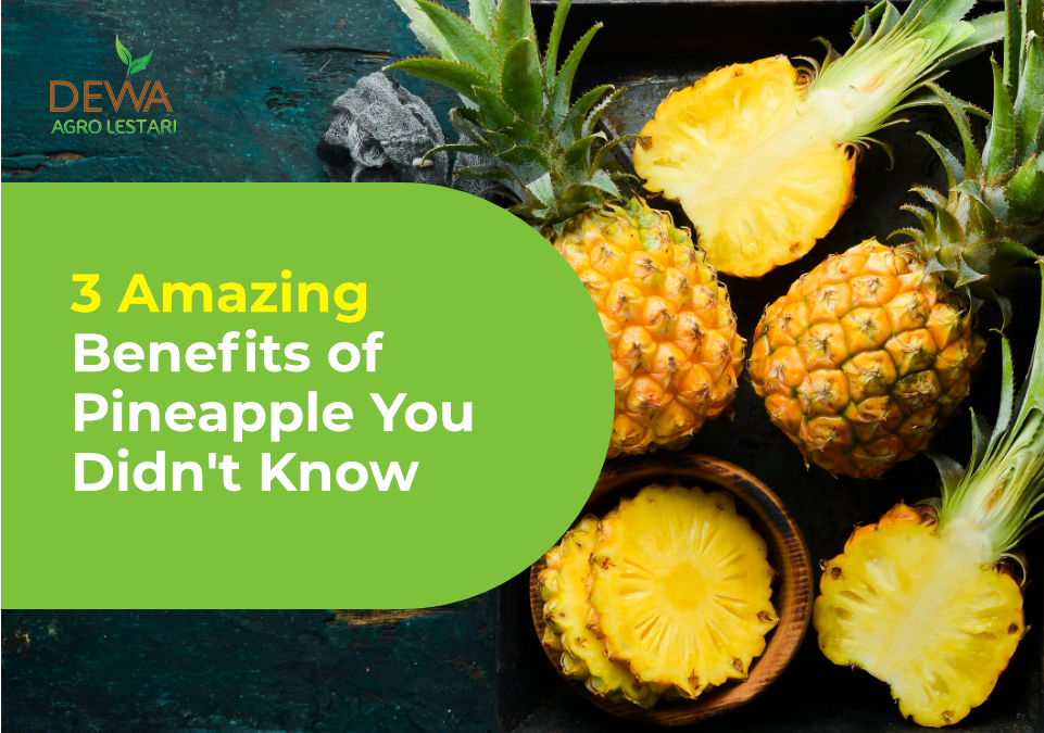 3 Amazing Benefits of Pineapple You Didnt Know