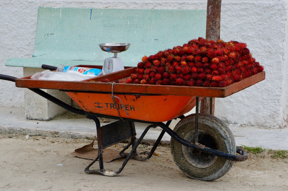 Fresh indonesian rambutan by agrifreshid