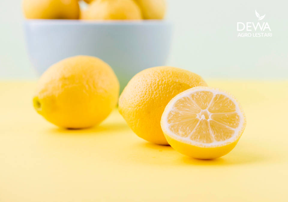 Manfaat jeruk lemon yang bisa bikin kulit menjadi lebih sehat dan cerah