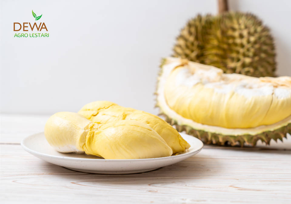 Cara memilih durian yang manis