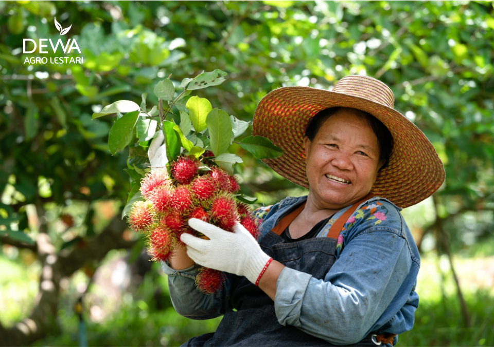 Jenis rambutan di Indonesia